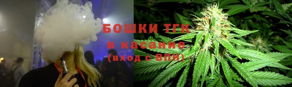 сатива Алексин