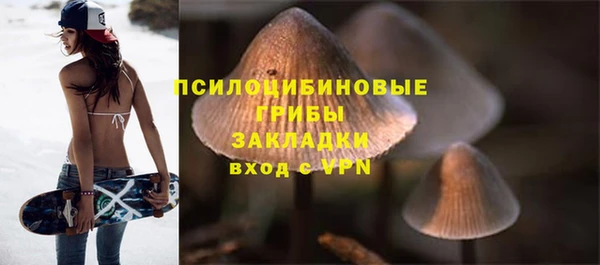 сатива Алексин